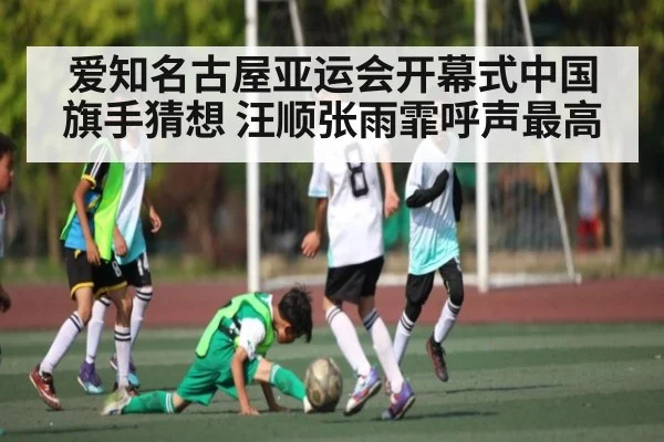 爱知名古屋亚运会开幕式中国旗手猜想 汪顺张雨霏呼声最高